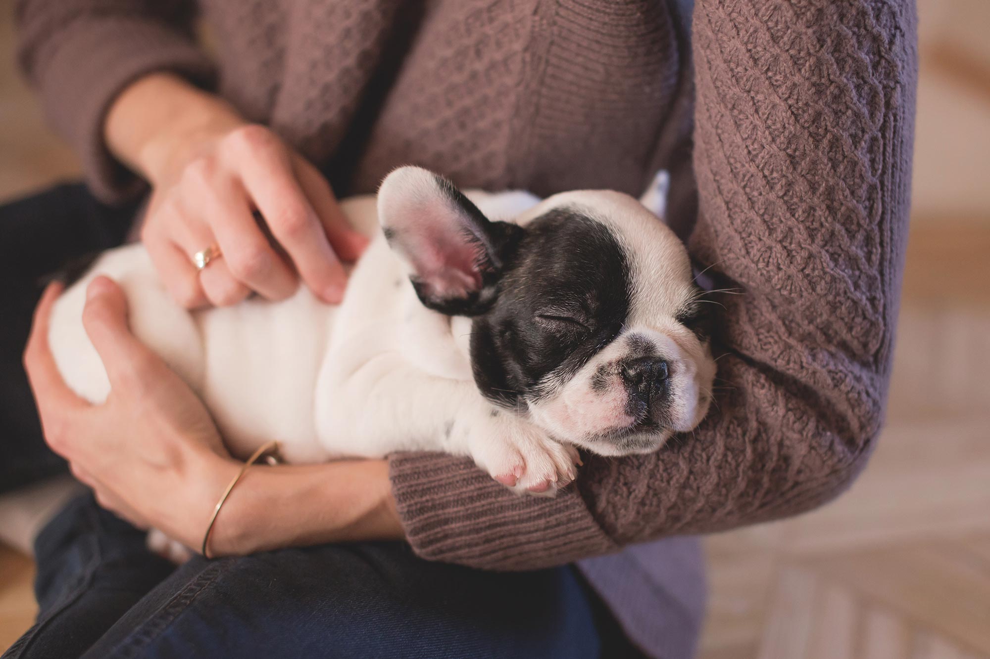 Tucson Veterinary Specialists